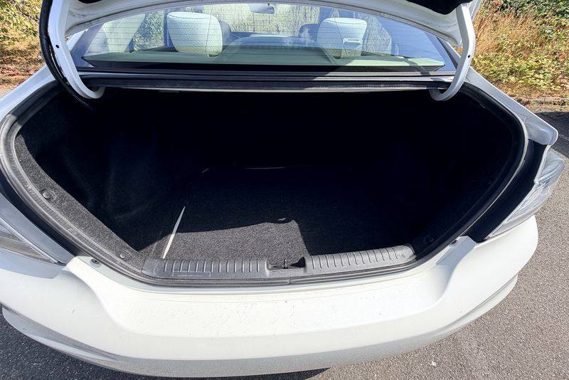 Trunk